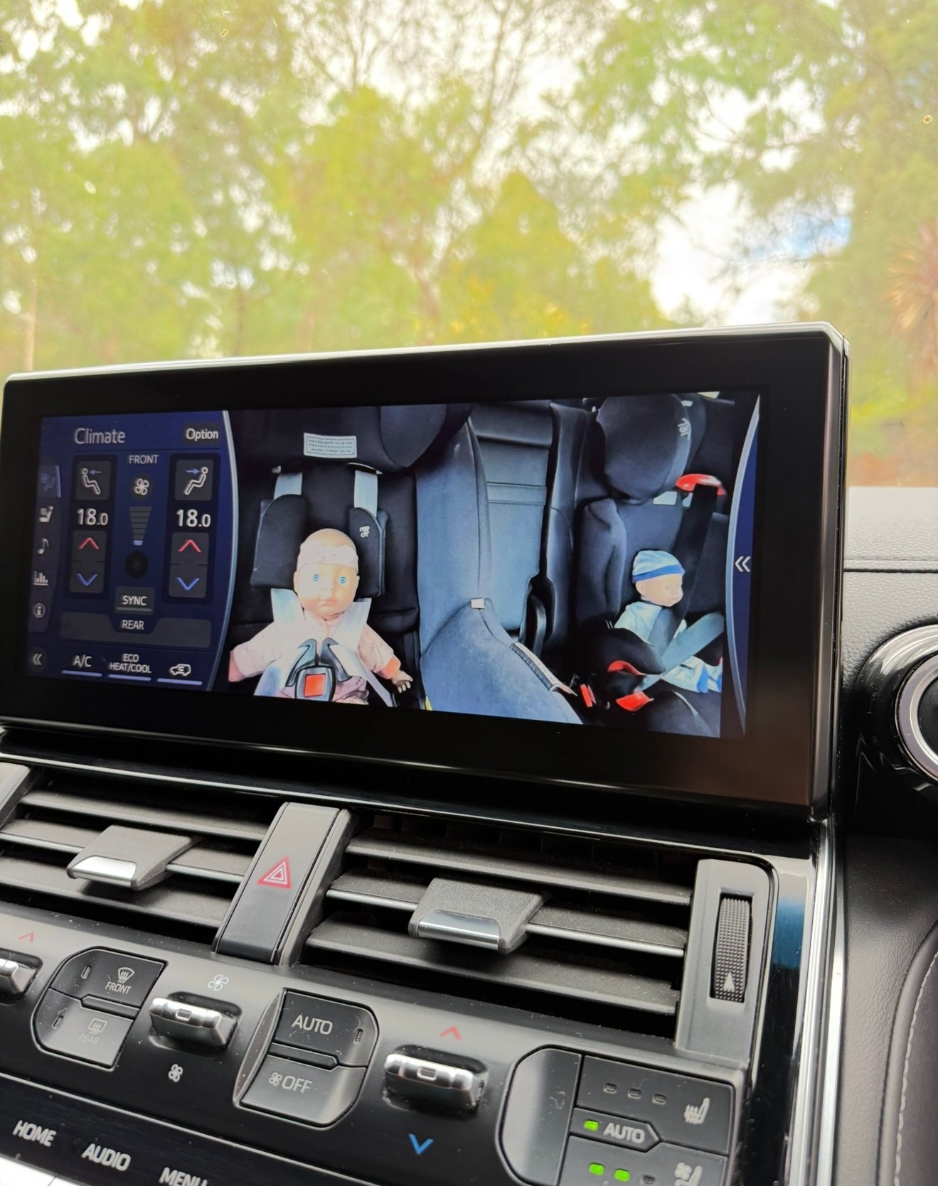 Baby View (Cat) - Baby Car Camera