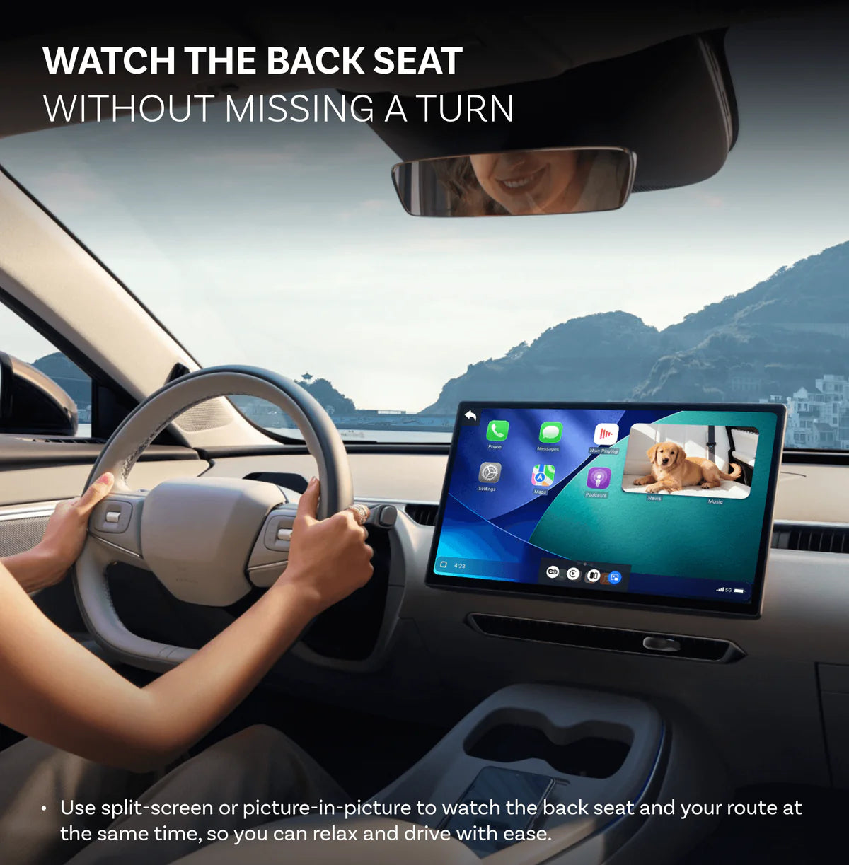 Baby View (Dog) - Baby Car Camera